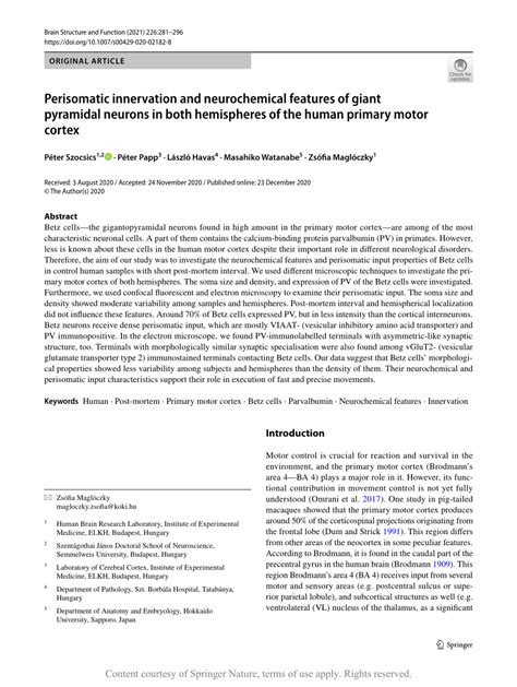 Perisomatic innervation and neurochemical features of giant .